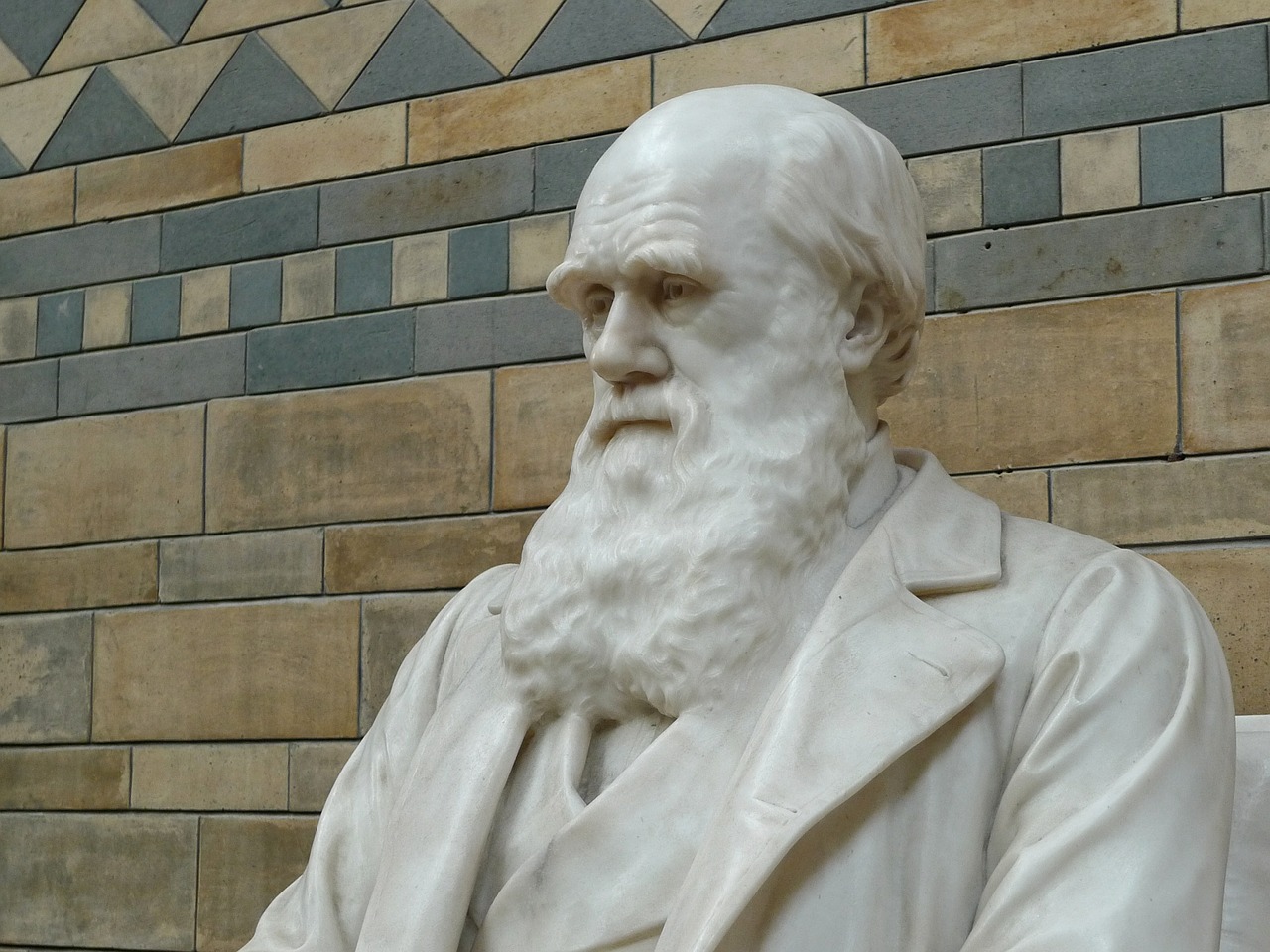 darwin, natural history, museum